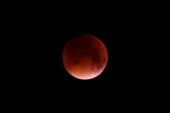 Total Lunar Eclipse 28 Sep 2015