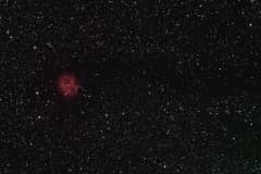 The Cocoon Nebula - IC 5146