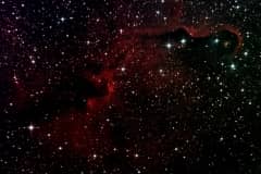 Elephant's Trunk Nebula - IC 1396